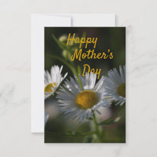 Mother's Day flat card-Daisy Card