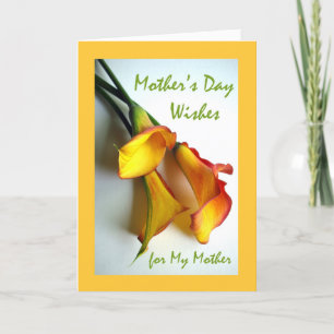 Mother's Day for Mother, Calla Lilies Card