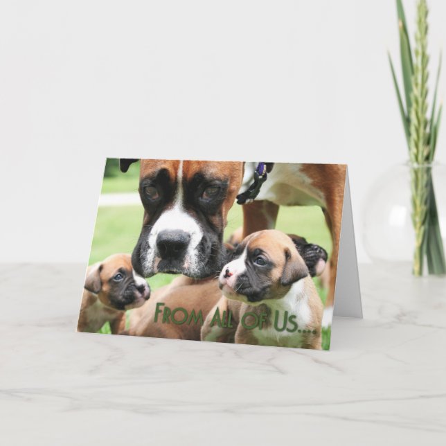 Mothers Day - From All of Us Boxer Puppies - Vindy Card (Front)