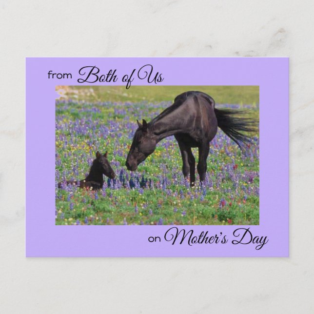 Mother's Day from Both of Us Mare & Foal Photo Postcard (Front)
