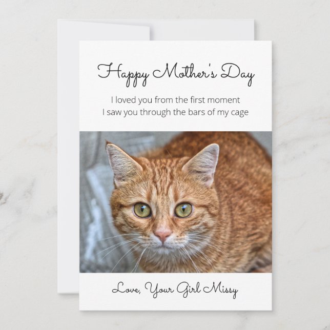 Mother's Day From Rescue Cat Holiday Card (Front)