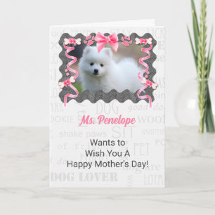 Mother's Day from the Dog in Pink and Grey Card