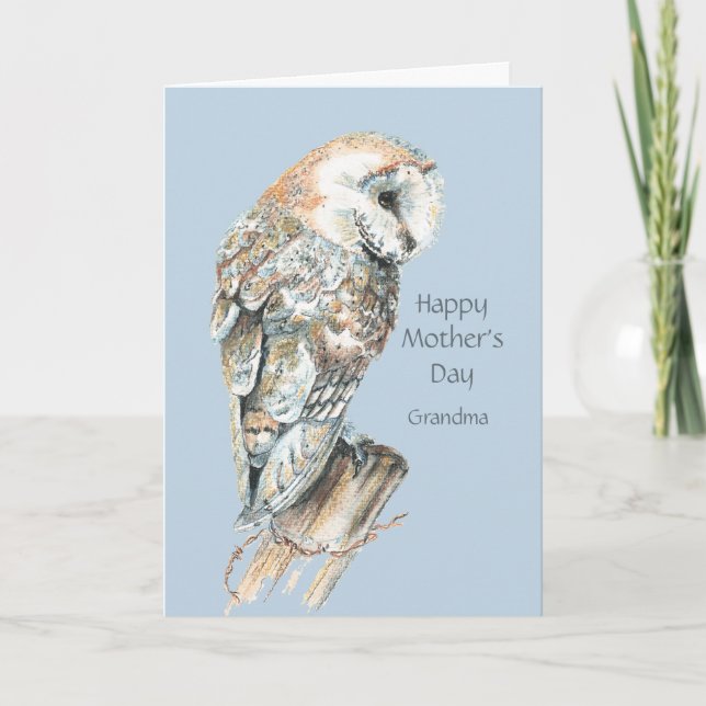 Mother's Day Grandma Humour Barn Owl Bird Card (Front)