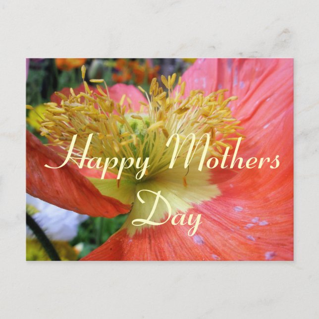 Mothers Day greeting Postcard (Front)