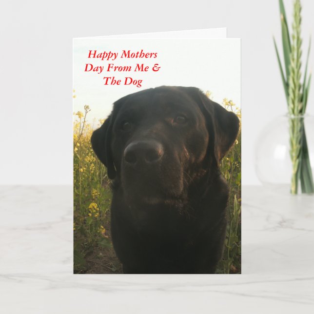 Mothers Day Greetings Card (Front)