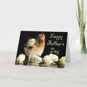 Mother's Day Hen and chicks Card