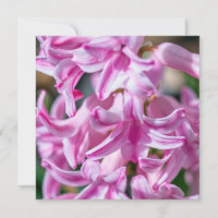 Mother's Day Hyacinth Customisable Poem Square 
