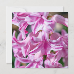Mother's Day Hyacinth Customisable Poem Square  Card