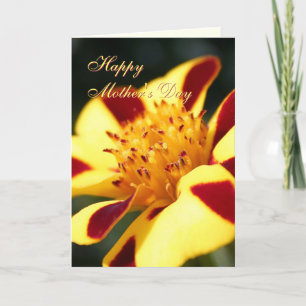 Mothers Day Jolly Jester Marigold greetings card