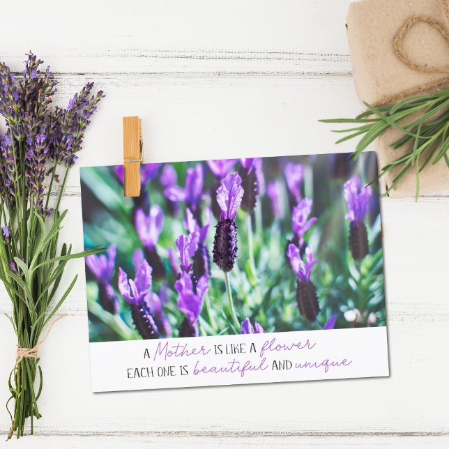 Mothers day Lavender field inspirational quote Postcard (Creator Uploaded)