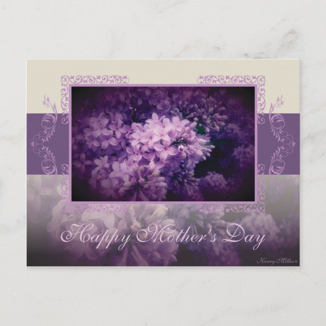 Mother's Day Lilac Postcard (Front)