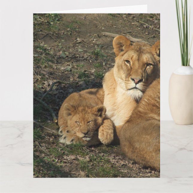MOTHER'S DAY LION AND BABY CUB Greeting Card (Front)