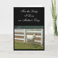 Mother's Day Love Miniature horse greeting card