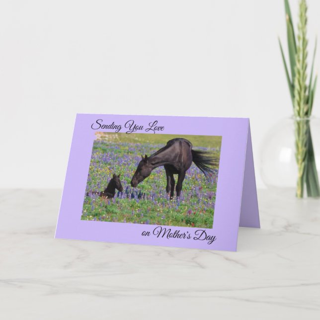 Mother's Day Mare & Foal Bluebell Pasture Photo Card (Front)