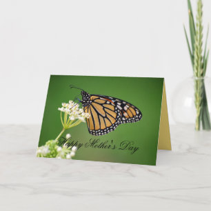 Mother's Day Monarch Butterfly on White Milkweed Card
