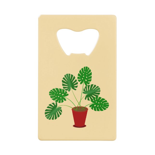 Mothers Day Monstera Plant (Front)