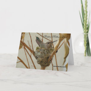 Mother's Day - Mother Hummingbird - Card