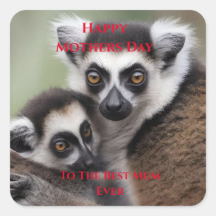 Mothers Day Mummy And Baby Lemur,   Square Sticker