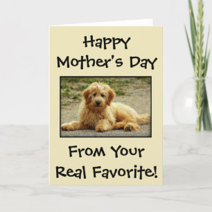 Mother's Day Personalised From The Dog Photo Card