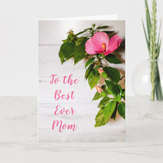 Mother's Day Pink Hibiscus Best Ever Mum Card