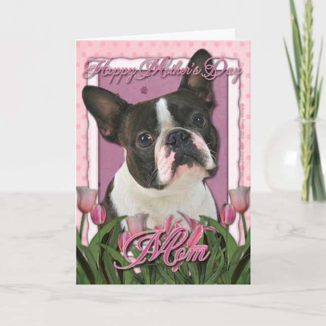 Mothers Day - Pink Tulips - Boston Terrier Card (Front)