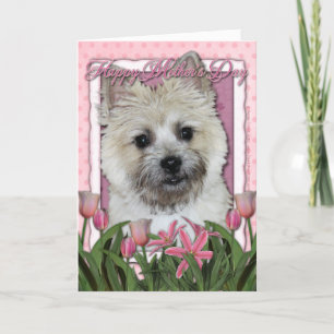 Mothers Day - Pink Tulips - Cairn - Teddy Bear Card