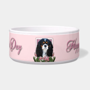 Mothers Day - Pink Tulips - Cavalier - Tri-Colour