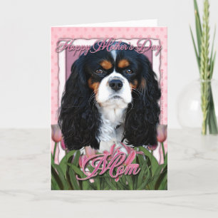 Mothers Day - Pink Tulips - Cavalier - Tri-Colour Card
