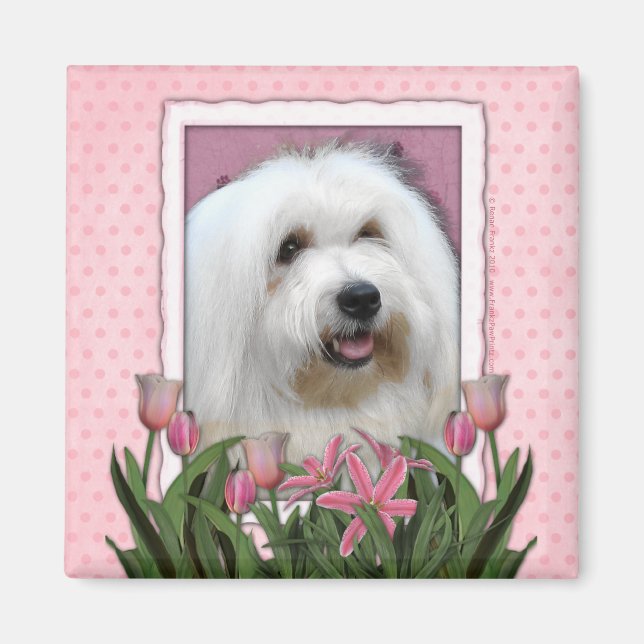 Mothers Day - Pink Tulips - Coton de Tulear Magnet (Front)