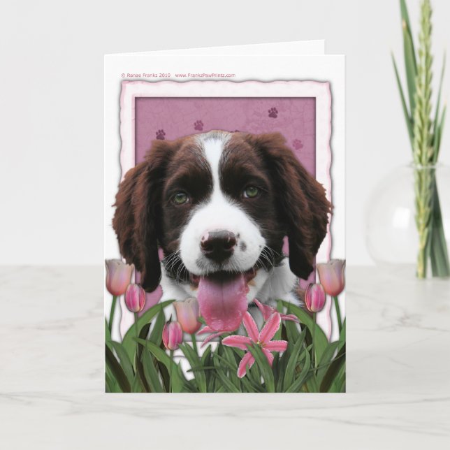 Mothers Day - Pink Tulips English Springer Spaniel Card (Front)