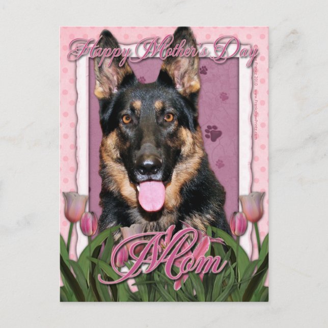 Mothers Day - Pink Tulips - German Shepherd - Kuno Postcard (Front)