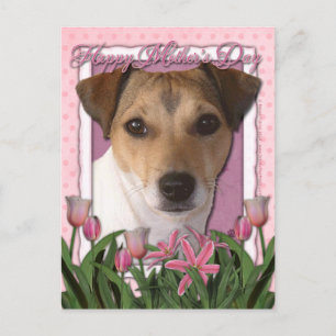 Mothers Day - Pink Tulips - Jack Russell Postcard