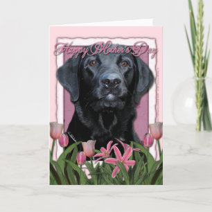 Mothers Day - Pink Tulips - Labrador - Black Gage Card