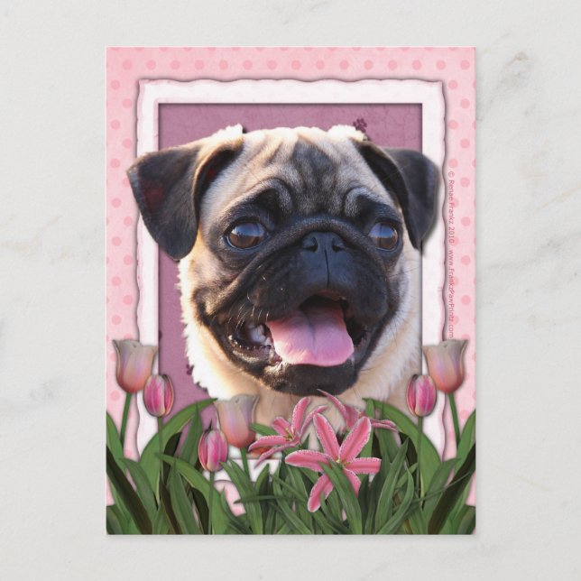 Mothers Day - Pink Tulips - Pug Postcard (Front)