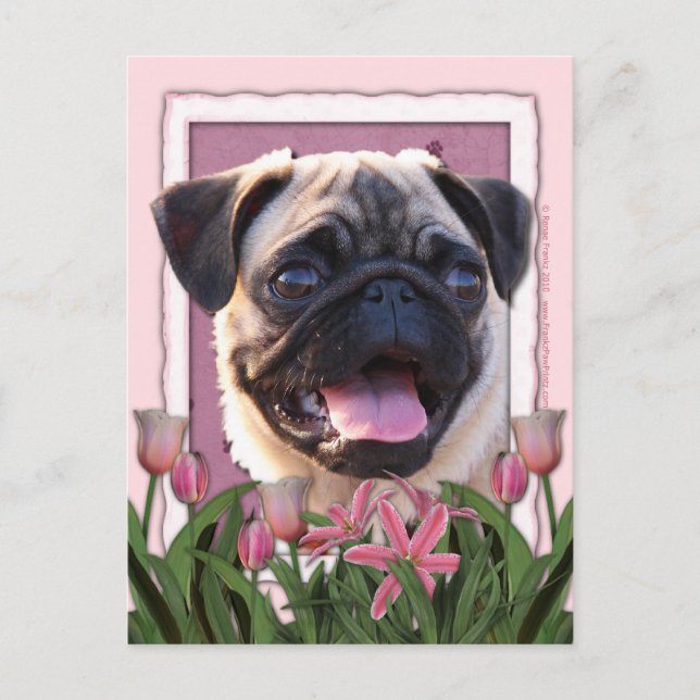 Mothers Day - Pink Tulips - Pug Postcard (Front)