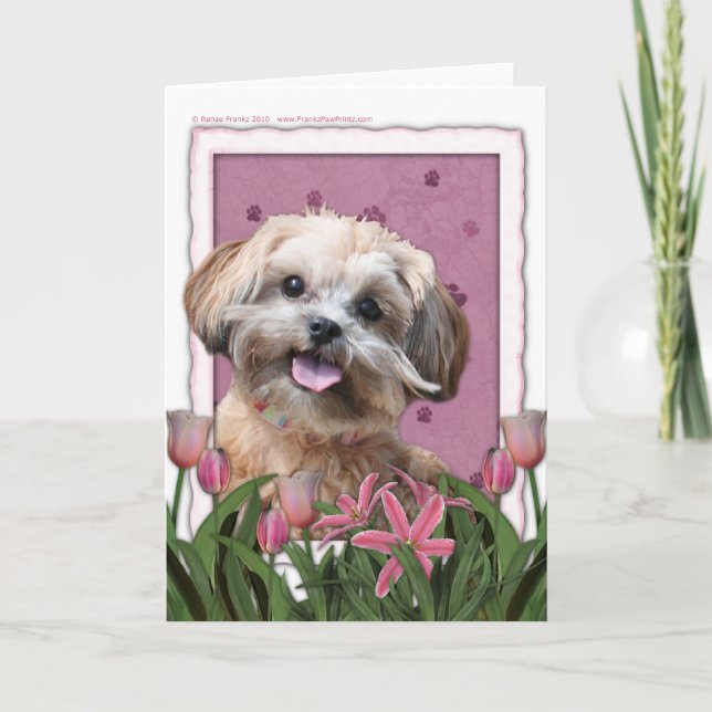 Mothers Day - Pink Tulips - ShihPoo - Maggie Card (Front)
