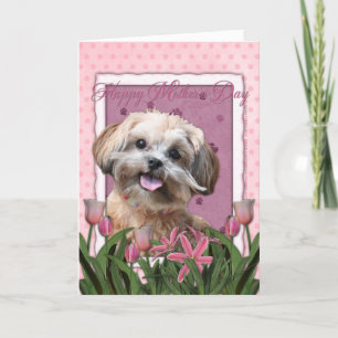Mothers Day - Pink Tulips - ShihPoo - Maggie Card