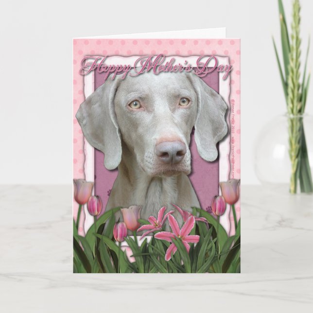 Mothers Day - Pink Tulips - Weimaraner - Gold Eyes Card (Front)