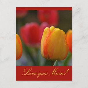 Mother's Day Postcard