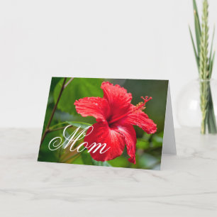 Mothers Day Red Hibiscus Tropical Flower Card