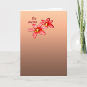 Mother's Day - Tulips For Mum - Illustration    Holiday Card