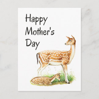 Mother's Day, Vintage Deer Mum and Baby Postcard