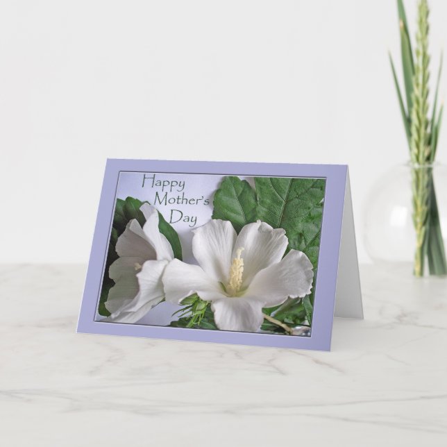 Mother's Day White Hibiscus Rose of Sharon Card (Front)