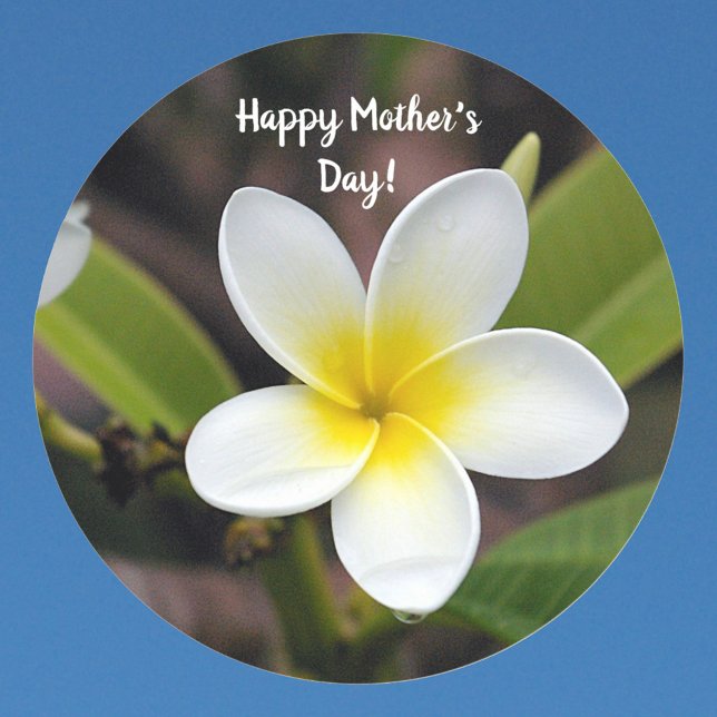 Mothers Day Yellow and White Plumeria Flower Photo Classic Round Sticker (Front with Background)