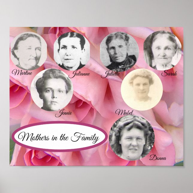 Mothers in the Family Photo Pink Roses Poster (Front)
