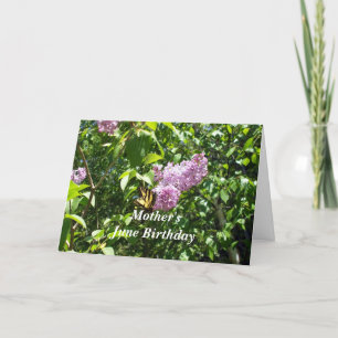 Mother's June Birthday-butterfly on lilac  bush Card