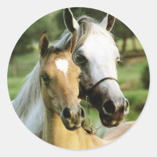 Mother's Love Classic Round Sticker