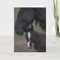 Mother's Love - Galloping to Freedom Greeting Card