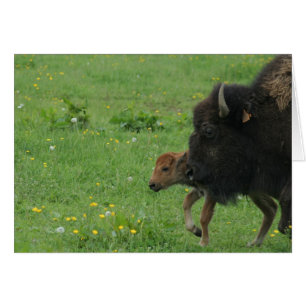 mother's protection