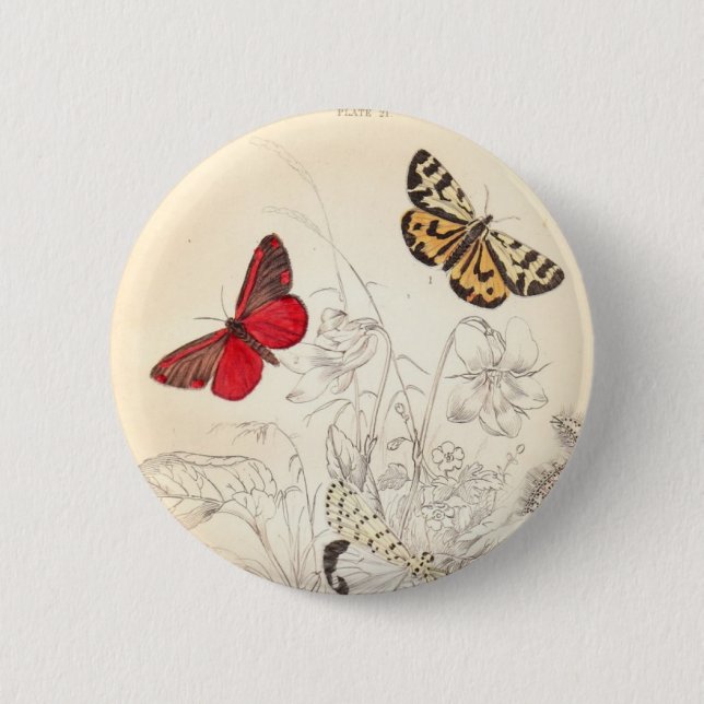Moths and Butterflies 6 Cm Round Badge (Front)